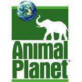 Animal Planet